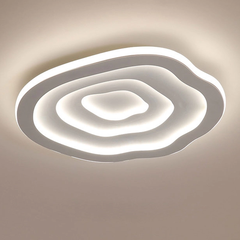 TOMAX 60CM/24INCH Modern Ceiling Lights for Bedroom Living Room Home Lighting LED Ceiling Lamp Dimmable with Remote Control