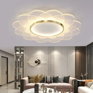 TOMAX 60CM/24INCH Bedroom Lamp Nordic Light Luxury Ceiling Lights Creative Warm Room Lamp Modern Minimalist Home Master Bedroom Ceiling Lamp